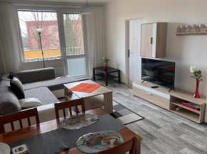 Apartmán ve Velkých Losinách